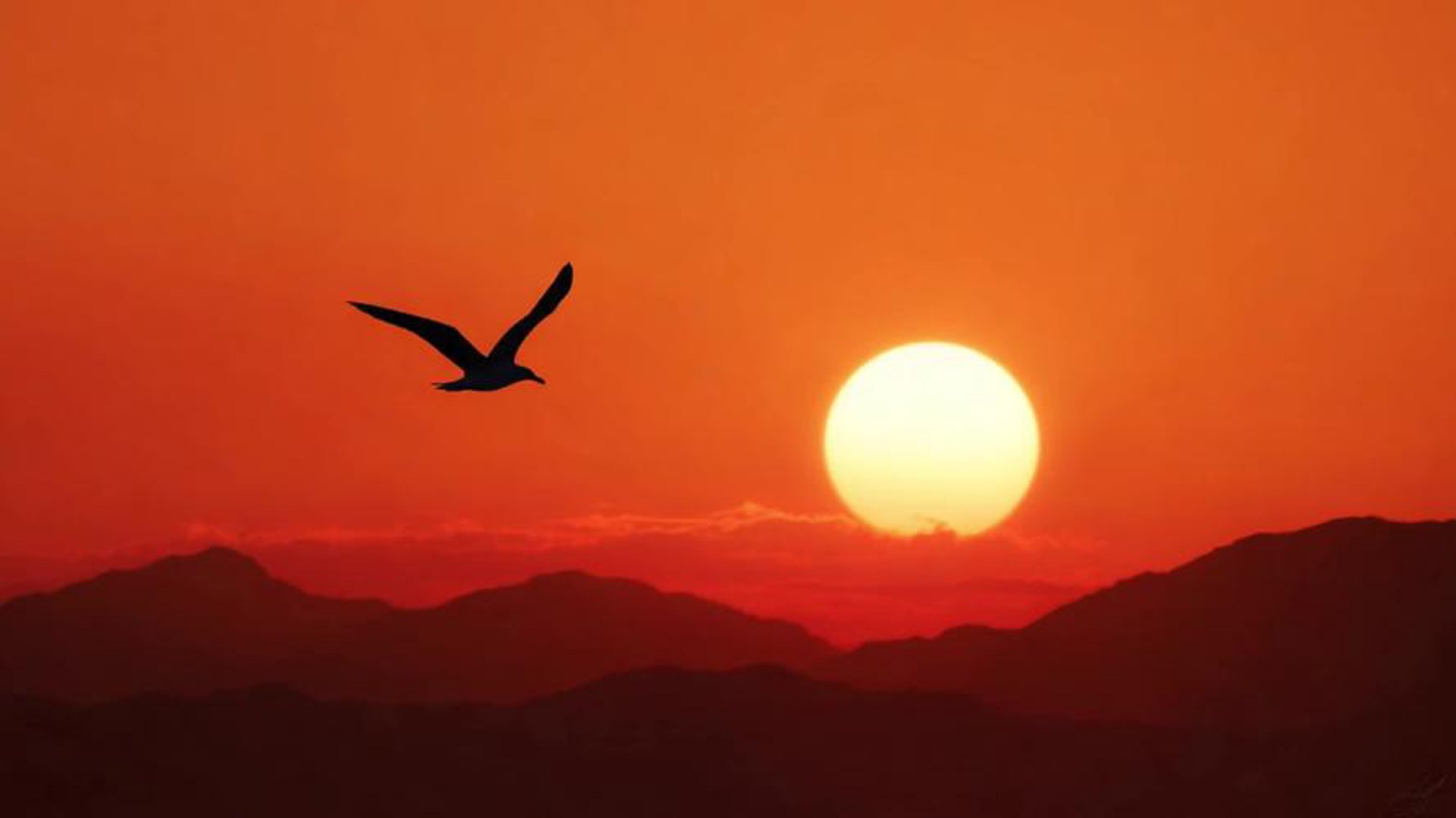 夕阳凰信息技术